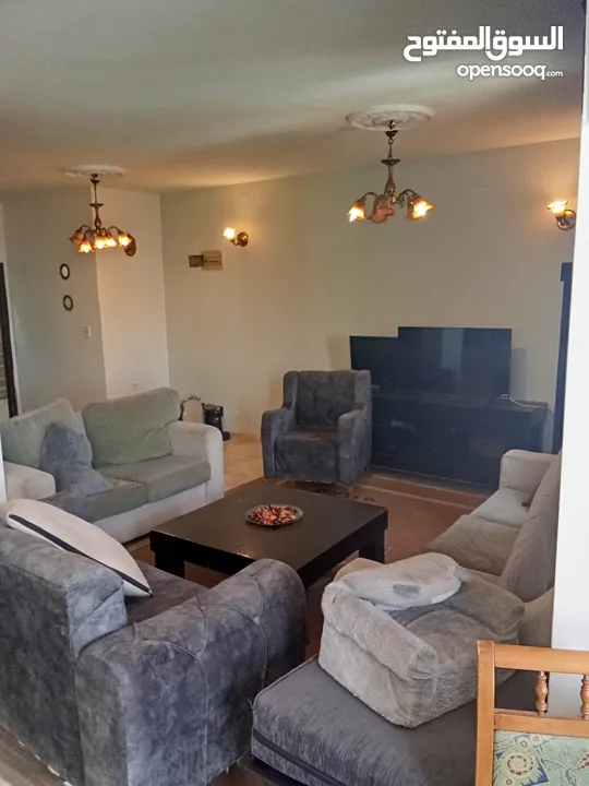 شقة مفروشة للايجار ام الشرايط فئة شباب