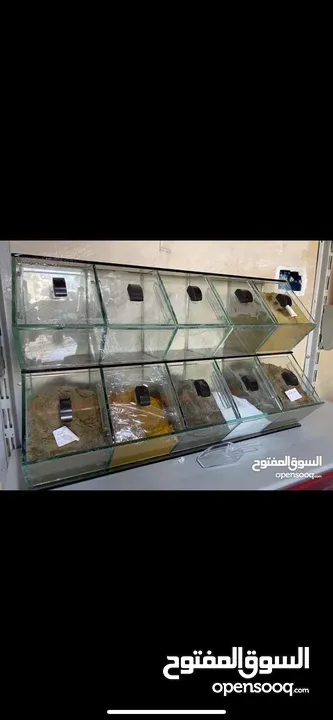 ستاندات بزر وبهارات