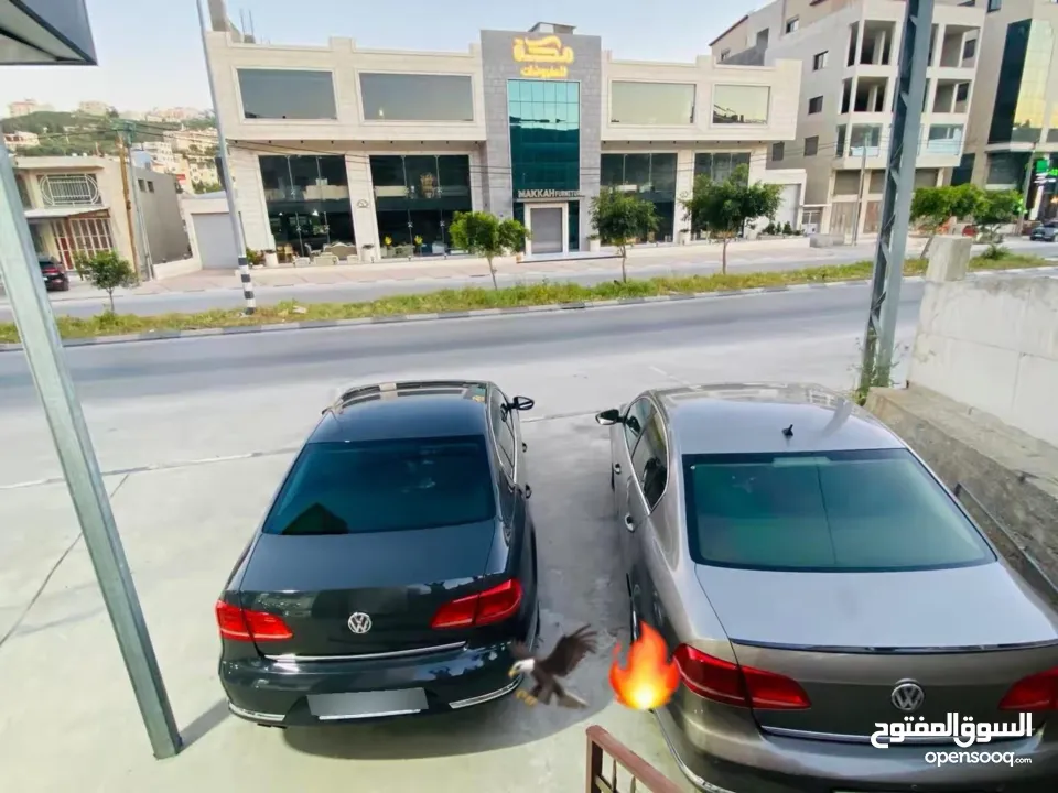 فلكس فاجن - باسات