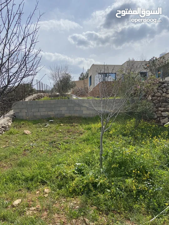 بيت ريفي مع مزرعة