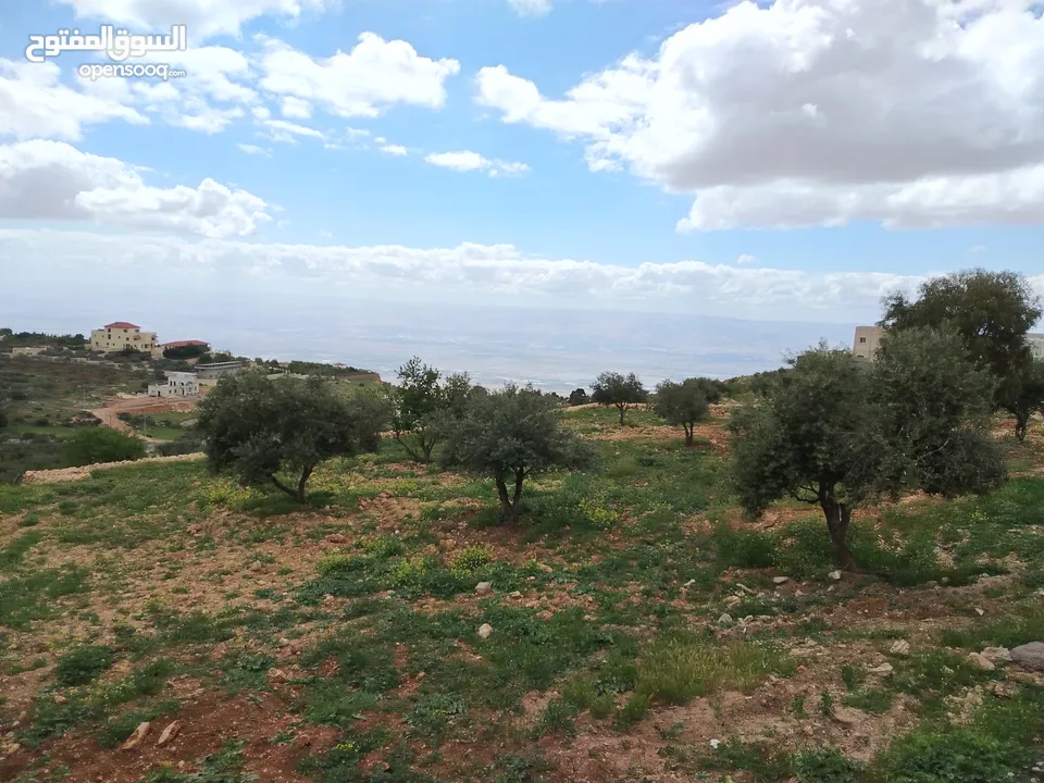 2300 م السلط المغاريب قطعة ملوكية تصلح ل فيلا او مزرعة اطلالة ع الغرب و جبال فلسطين