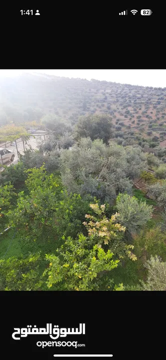 مزرعه للبيع بسعر مغري جدا