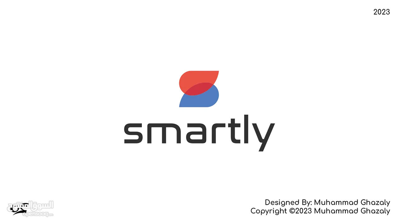 Professional Logo Design for new companies