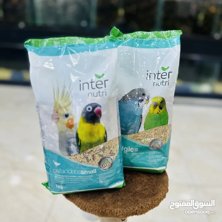 طعام الببغاوات inter البرتغالي