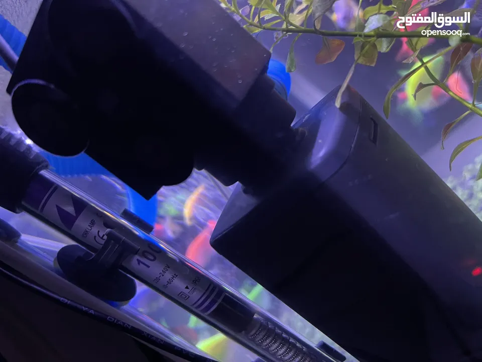 35 L aquarium tank,40 color full glow fish,heater,filter and oxygen motor