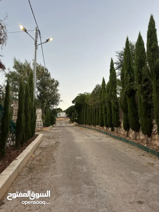 ارض للبيع في الأردن - عجلون