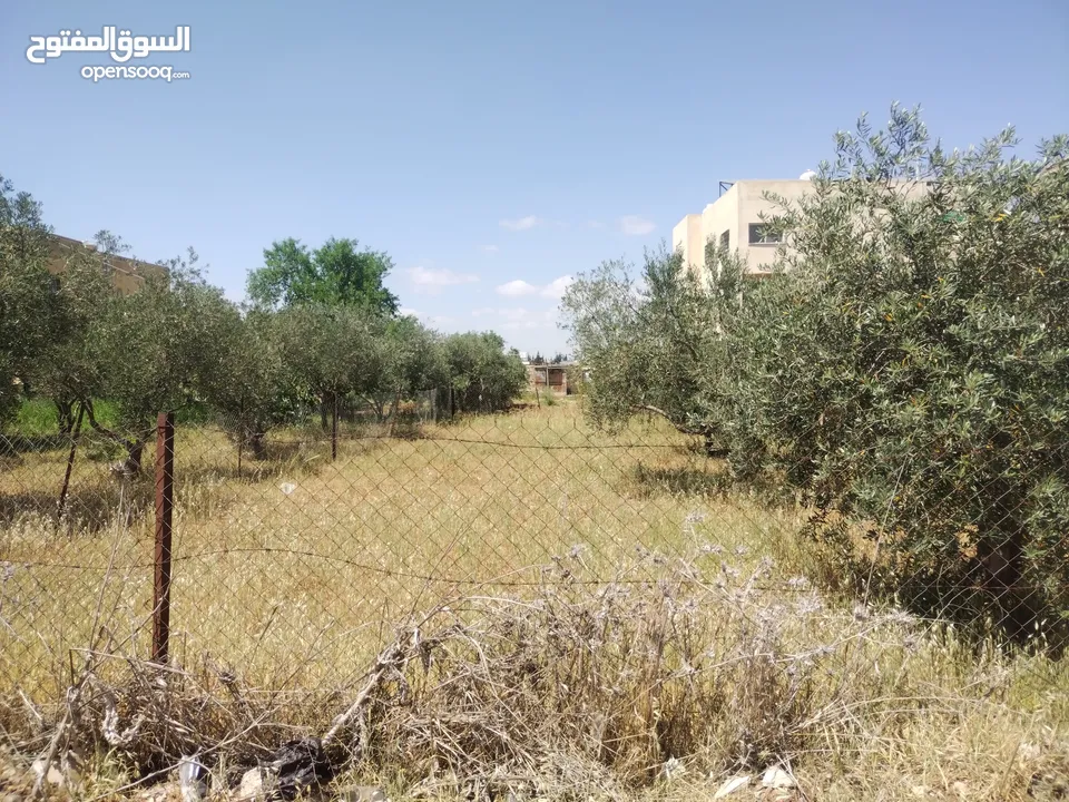 بيت طابقين للبيع