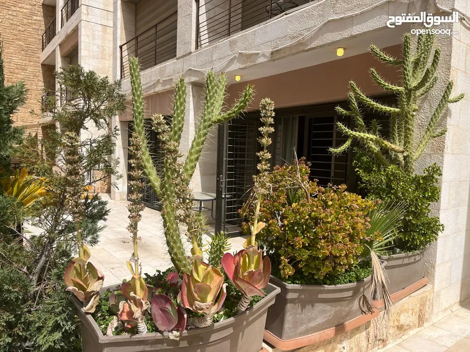 شقة مفروشة للإيجار  ( Property 43122 )-175083270