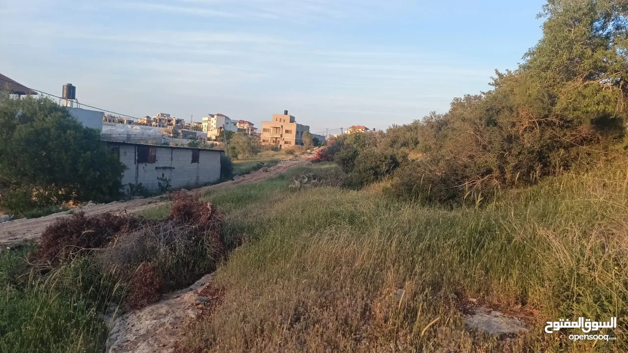 عقار للبيع
