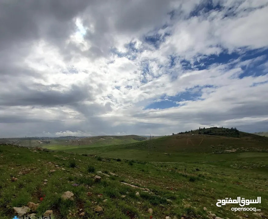 ارض للبيع من المالك مباشره في شفابدران زينات الربوع