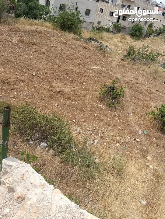 نمرة ممتازة جداا