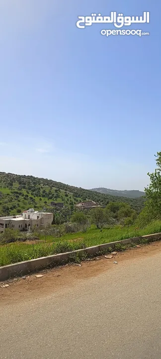 مزرعه مع بيت راقيه راس منيف موقع مميز مطله و بسعر مغري جدا