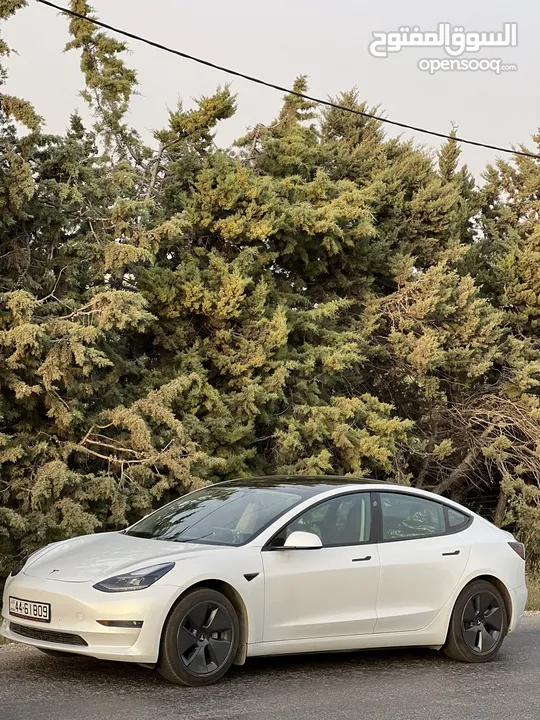 Tesla model 3 2021 standard plus- تيسلا 3 auto score B+ (81%)