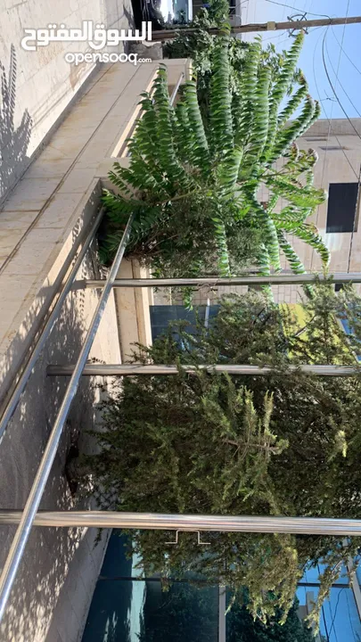 مكتب ارضي طابقي فاخر للايجار في جبل عمان
