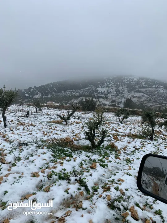أرض ممتازة في جرش للسكن و للزراعة بقرب أحراش الدولة و سعر مغري  للمزيد من المعلومات اقرأ الوصف