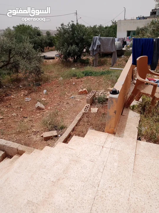 للبيع المغ