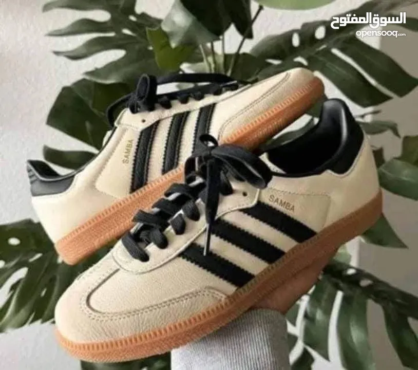 Adidas Samba shoes