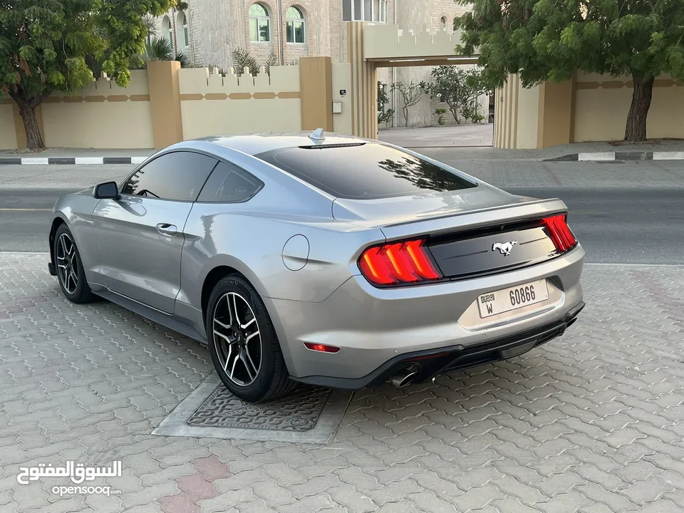 FORD MUSTANG ECO BOOST 2021