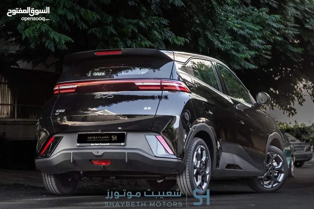Byd Seagull 2024