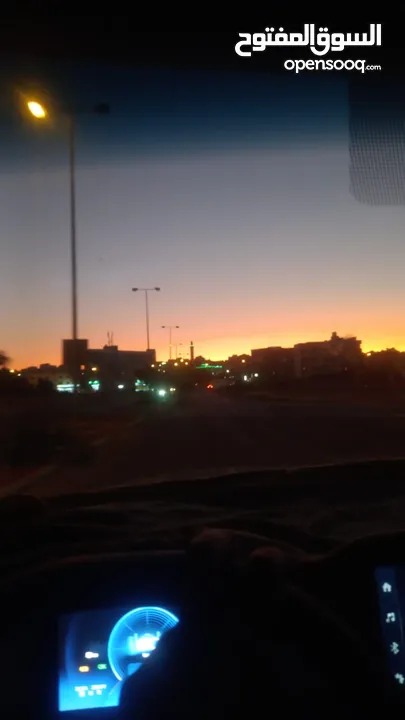 متاح للبيع بسعر مناسب جرو صغير للبيع او للبدل ع طيور