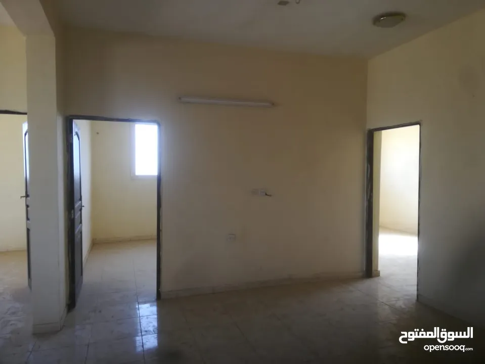 عمارة في بيت المال