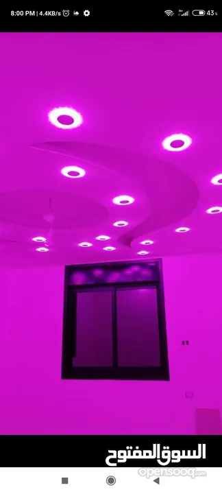 شقة للايجار
