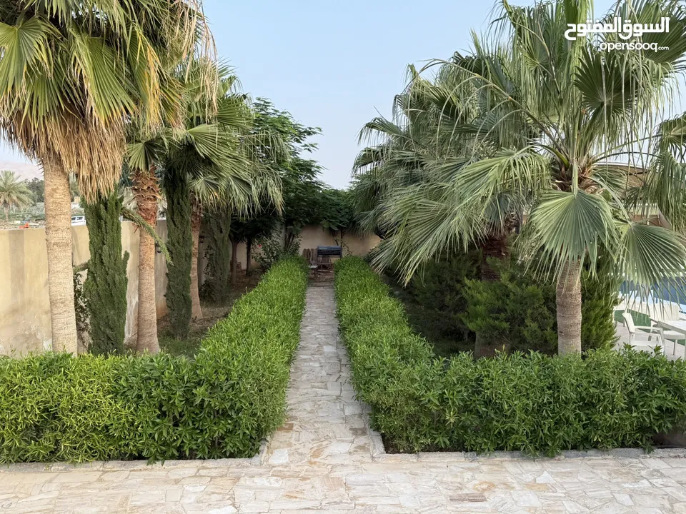 مزرعة نخيل مجهول مثمر ومنتج  + شاليه مودرن للبيع بأجمل مناطق الغور بالقرب من سد الكرامة 60 ك من عمان