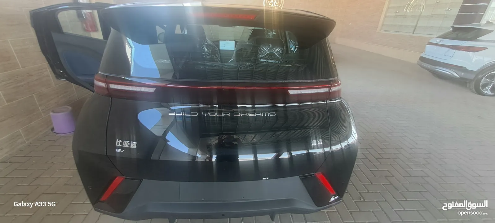 405 k  BYD SEAGULL FLYING 2024