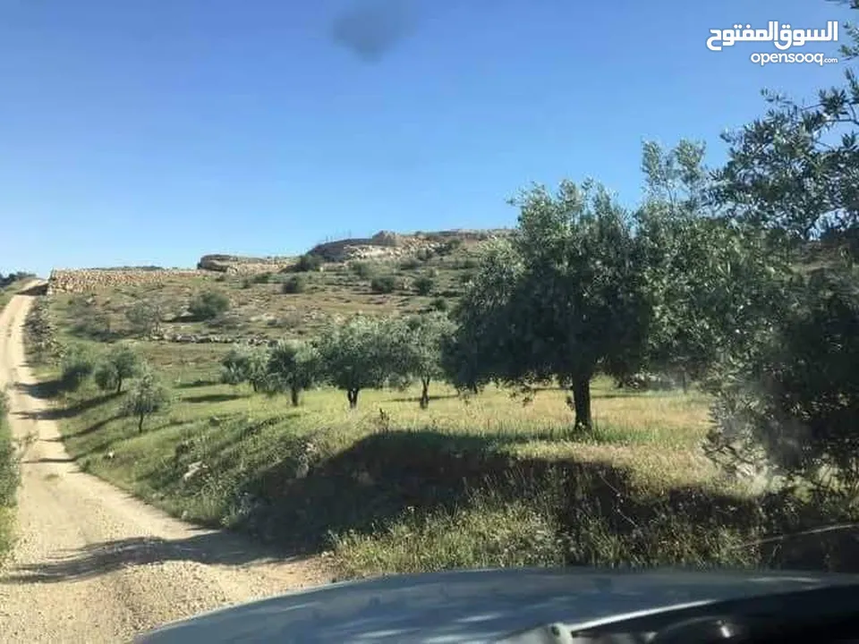 8 دونمات منطقة نادره قرب جرش  وممكن جزء من الثمن سياره