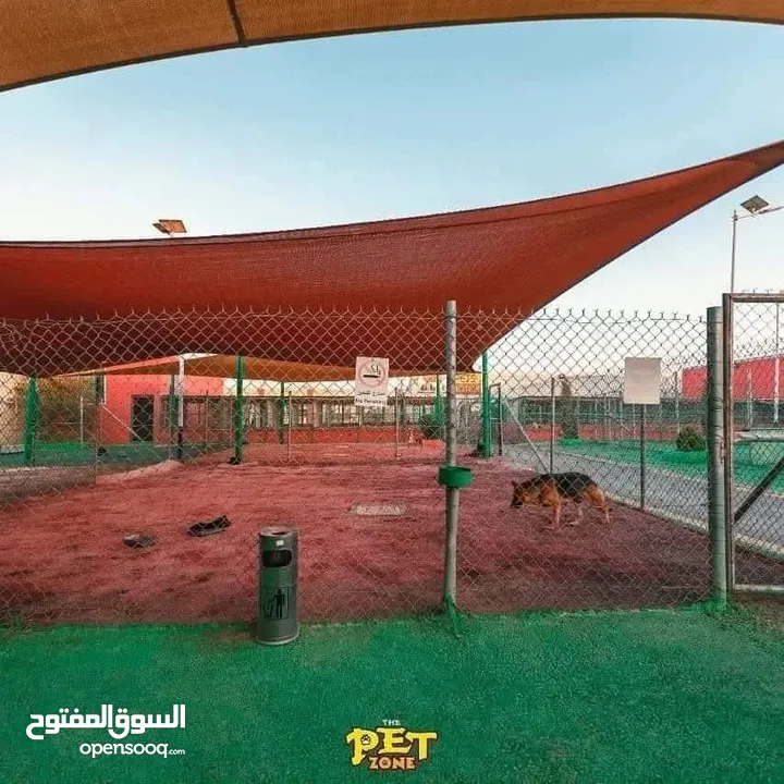 درّب كلبك الآن ...اكبر مركز لتدريب الكلاب
