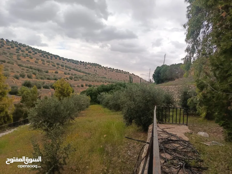 مزرعه مع 2 بيت ريفي مخدومه ماء وكهرباء مساحتها 4712