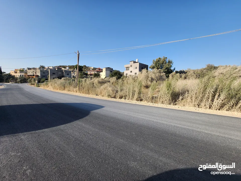 فرصة بالجاروشية