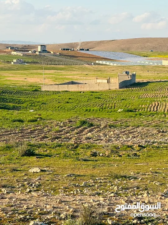 قطعة ارض 20 دونم جنوب عمان قرية زينب حوض الرواق  تقع على الشارع الرئيسي للمنطقة داخل التنظيم