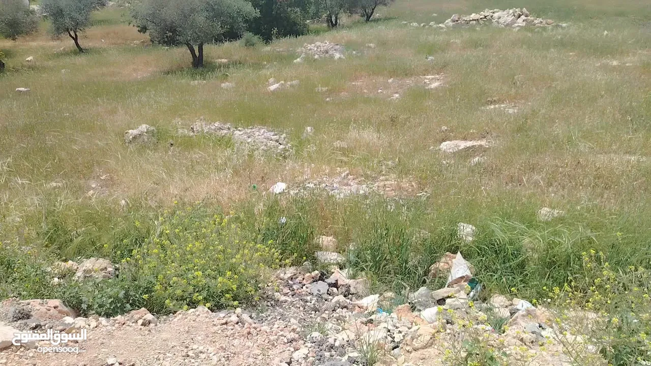 دنم مميز بطنا ع شارعين قرب شارع الستين الجديد