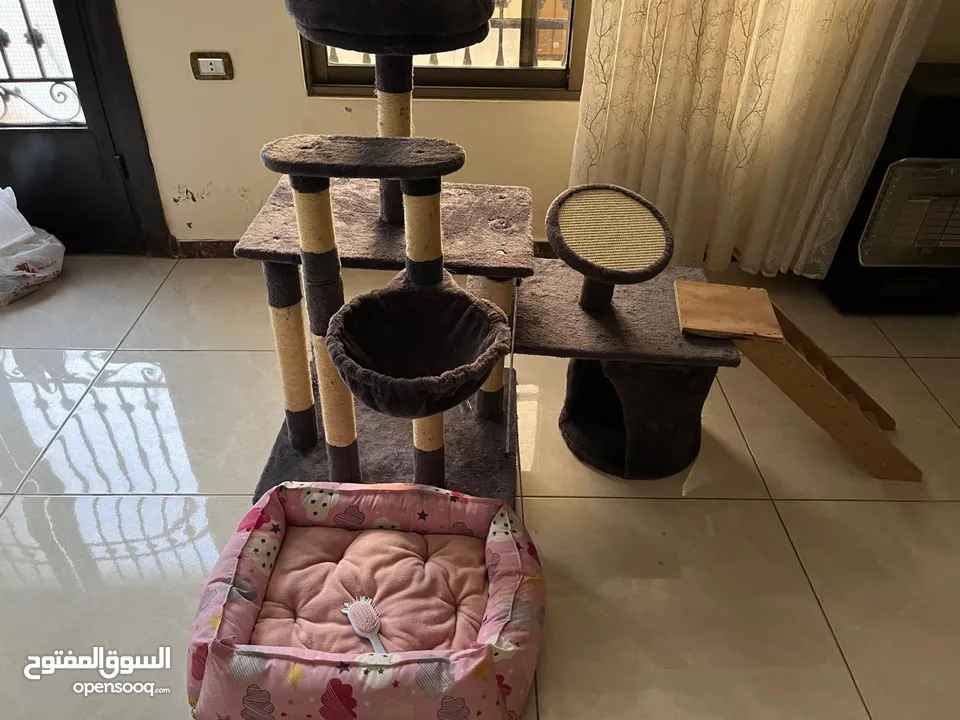 بيت ومنزل وشجرة قطط مع مشط ولعبه
