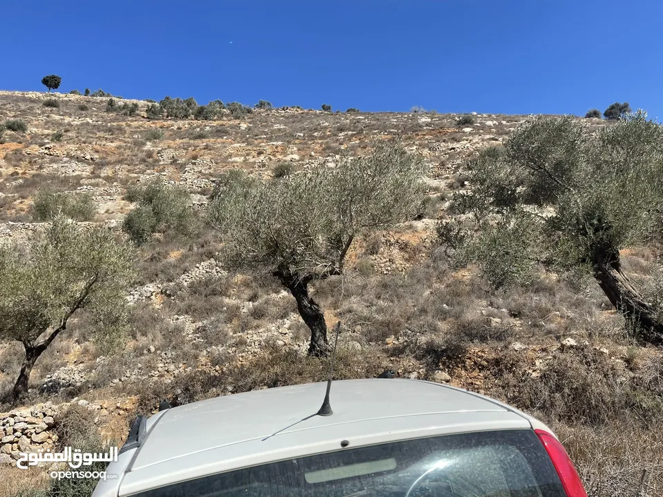 ارض لقطة للبيع بسعر