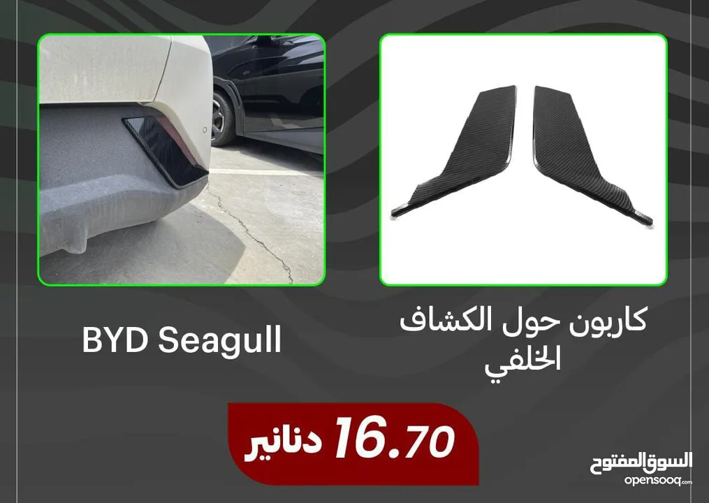 كاربون حول الكشاف الخلفي  BYD Seagull