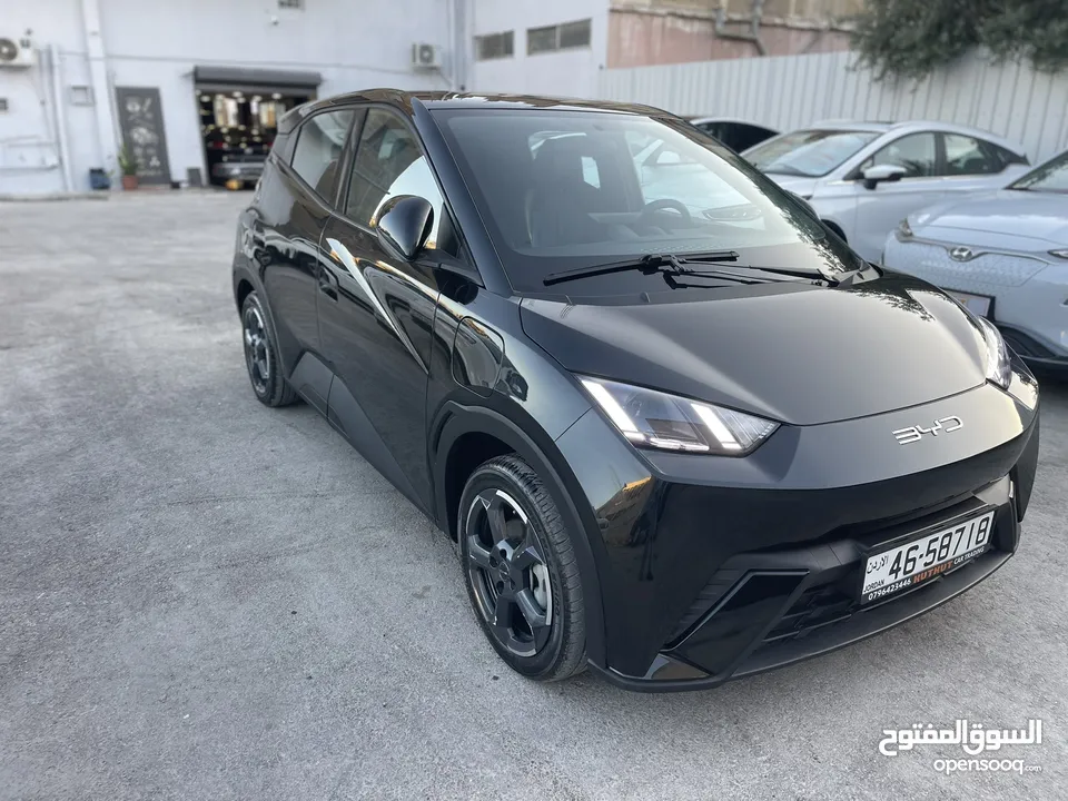 بي واي دي سيجول موديل 2023  كاش او اقساط