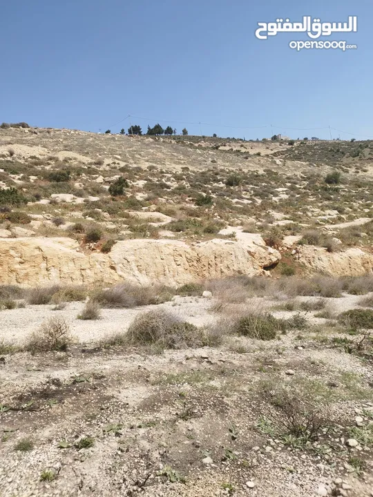 ارض للبيع ( ام رمانه) قريبه جدا من شارع الاردن حيث تبعد عن بن معروف 6 دقائق فقط