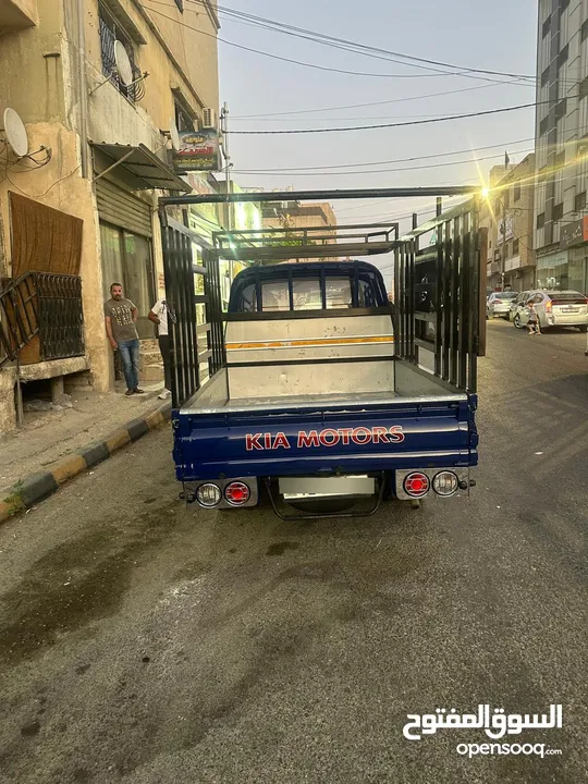 بونجو دبل كبين