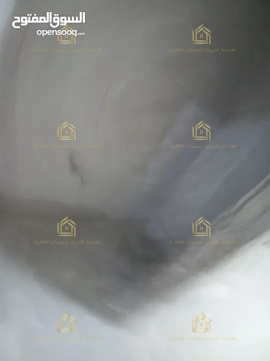 شقة فارغة للايجار في عبدون لم تسكن بعد التجديد