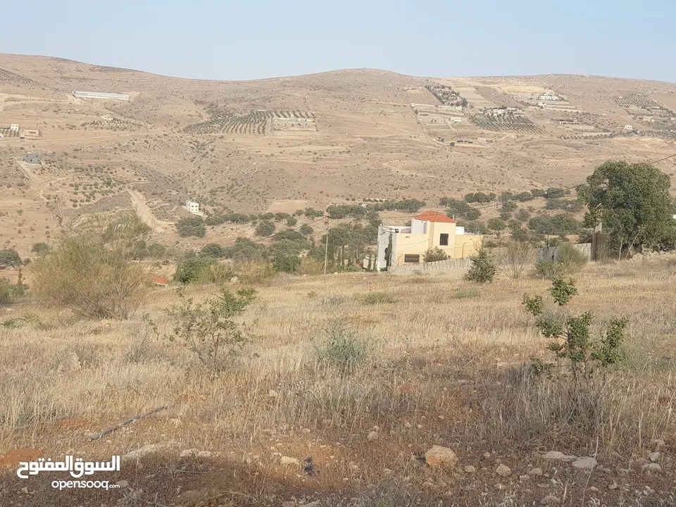 سبع دونمات في صروت مزروعة زيتون اطلالة مرتفعة منطقة شاليهات الدونم عشرين قابل