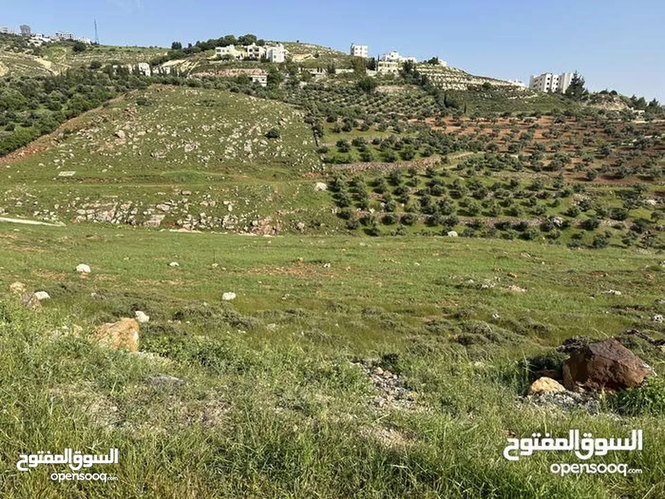 ارض 675 م غرب عمان/مرج الحمام/المشبك.عشارع اسفلت سكن ب 6 د عن دوار شوابكة والمريشد.منطقة خدمات وفلل