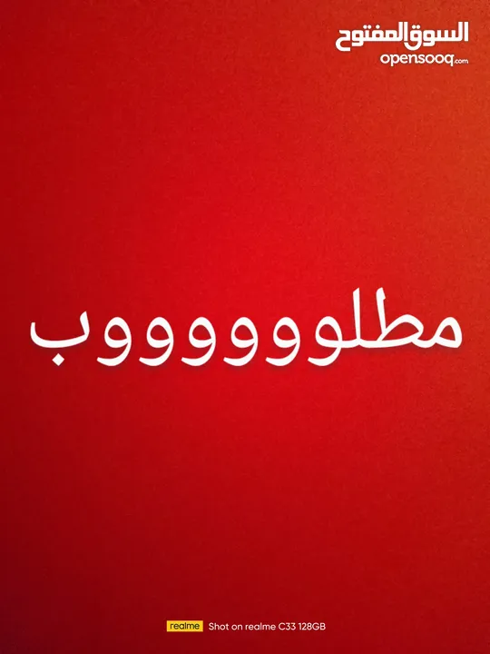 مطلوب مطير عصافير في اربد