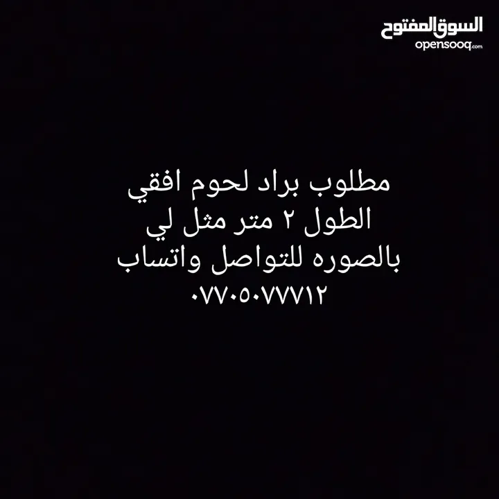 مطلوب وليس للبيع