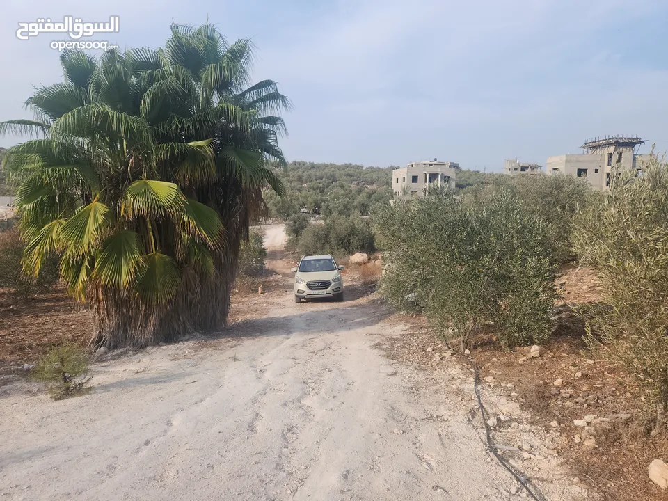 حصة 700 متر بالمسقوفة