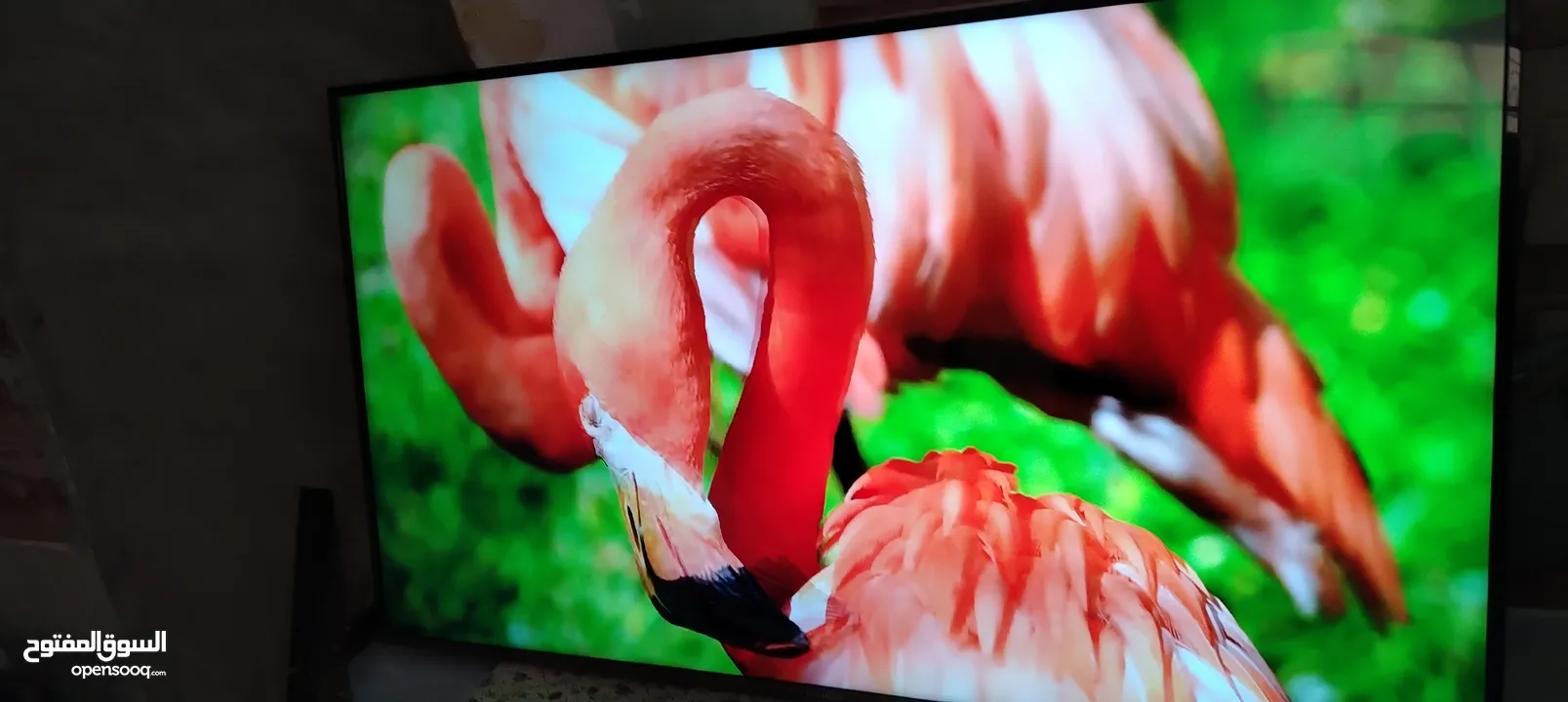 شاشه اي فيو 65 سمارت