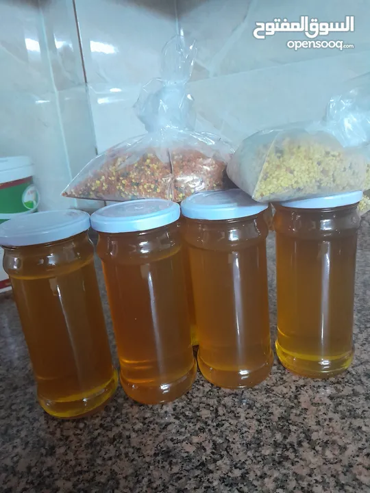 عسل الربيع عجلون  مكفول وحبوب لقاح طازجه