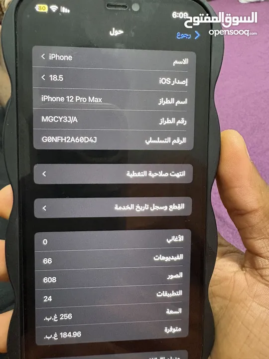 12 برو ماكس