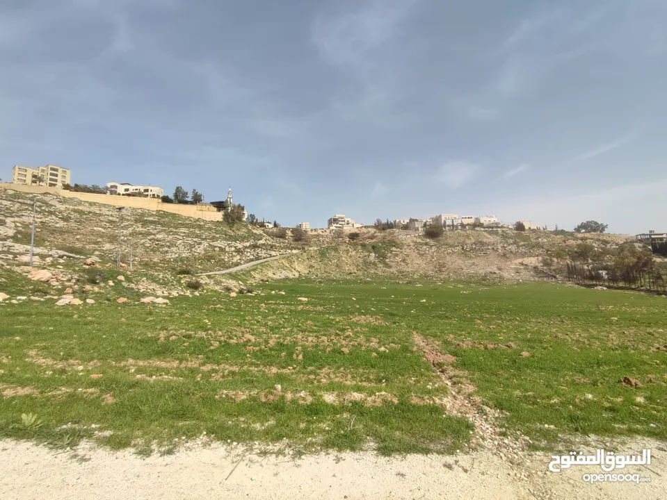 للبيع قطع اراضي في عيون الجاموس